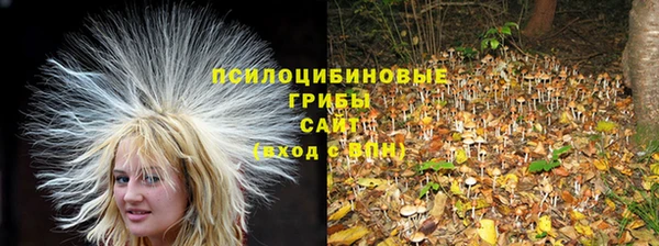 MESCALINE Осташков