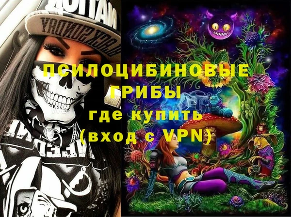 сатива Ветлуга