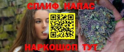 стаф Гай