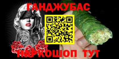 стаф Гай