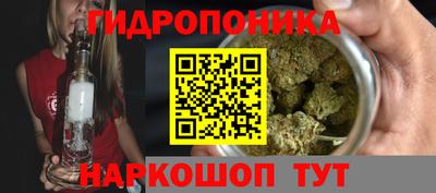 стаф Гай