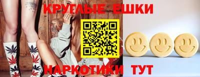 стаф Гай