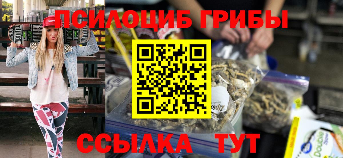 Псилоцибиновые грибы GOLDEN TEACHER Чусовой