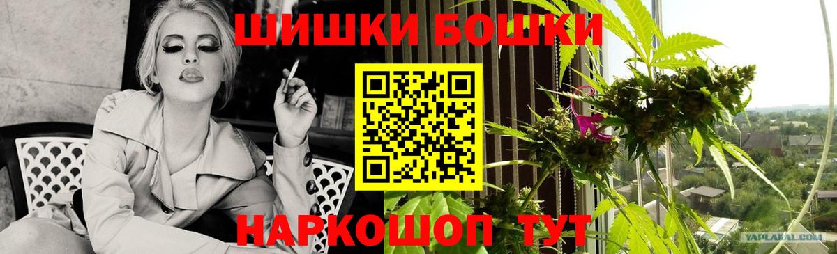 Каннабис сатива  Марихуана планчик  Вход с VPN  Чусовой 